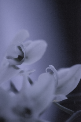 maximilian-seegert-photography 