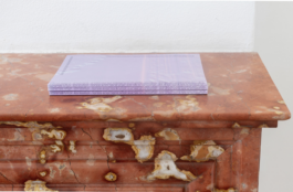 dans_des_circonstances_inconnues_maximilian_seegert_maxseegert_max_seegert_virtual_exhibition